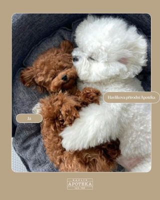 Věnuj dnes večer své pleti pár minut něhy 🥰 je to krásný dárek sama sobě 🫶🏻💫