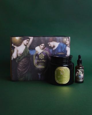 Sofistikovaná symfonie botanických esencí přírody? 🌿💫 Ambientní parfém Eau de Prague 🤍 Dřevitá bohatost cedru a ambry se...